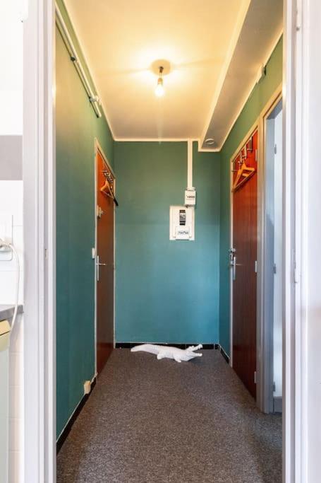 Double Appartement, Saint Michel, Parking, Wifi Тулуза Экстерьер фото